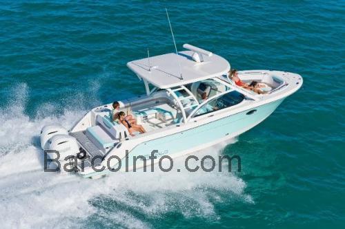 Robalo R317 Dual Console ficha técnica y opiniones